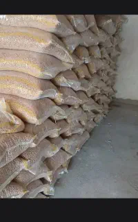 نخود درجه یک امسال کیلوی و عمده