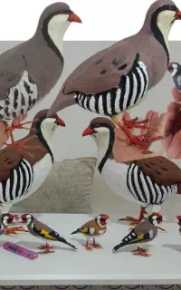 مجسمه سهره پرنده کبک کادو هدیه ماکت پرنده