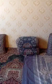دو جفت پشتی شاه نشین