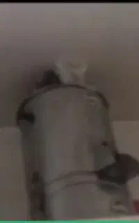 سبزی خردکن خانگی