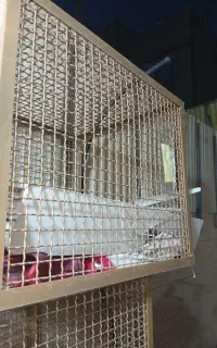 سبد لباس آهنی