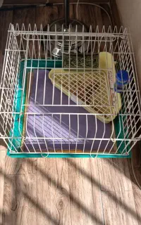قفس  خرگوش