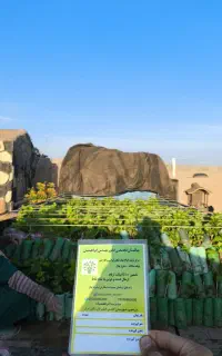 نهال انگور رو از منه تولید کننده بخر، نه دلال..