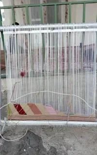 دار قالی