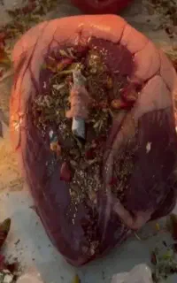 سرکتاب