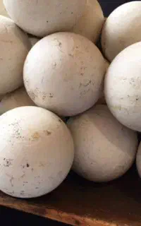 سنگ آسیاب سفید بزرگ وکوچک