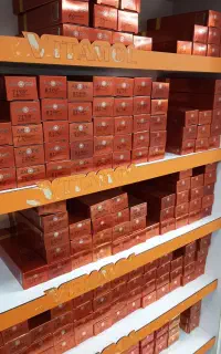 رنگ موی 120میل آموده