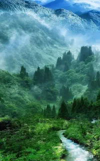 طبیعت گردی کوه جنگل