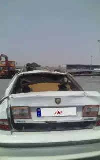 سمند تصادفی