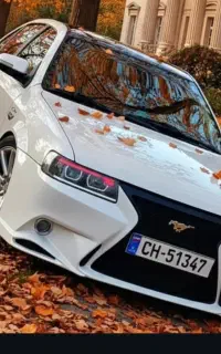 صافکاری جزئی،نقاشی کلی.تخفیف پای کار