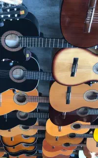 +/  فروش ویژه گیتار Yamaha / Fender