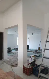 همکار در کار نقاشی ساختمانی