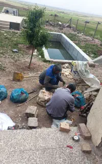 کارگرنیمه ماهر مرغ پاک‌کنی حقوق خوب افغانی میخام