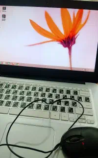 لپتاپ اچ پی