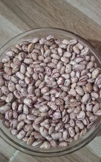 لوبیا چیتی