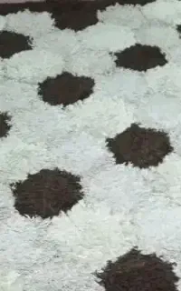 فرش