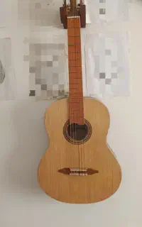 گیتار کلاسیک نو