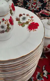 پیش دستی چینی همگام