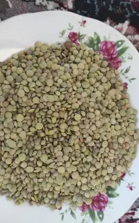 عدس
