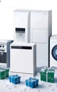 جشنواره تابستانه اسنوا