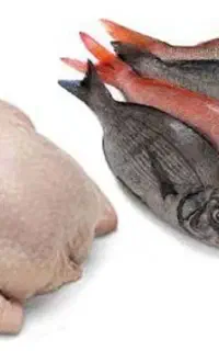 جویای کار