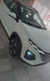 x33 cross
