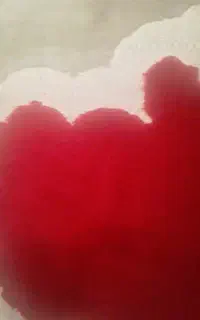 خرگوش لوپو نروماده حامله نزدیک به دنیا امدنش