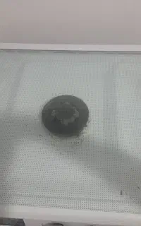 گاز
