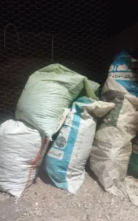 کود کبوتر