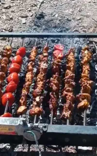 سیخ گردان ۱۲ وات ذغالی برقی کباب پز)