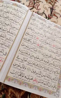 کتاب آینه فال دقیق بدون ردخور