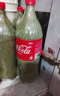 نعناع خشک خوشبو معطر