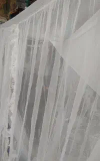 پشه بند