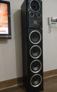 باند کارائوکه بزرگ