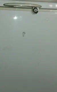 یخچال صندوقی