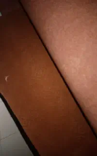 موکت دست دوم