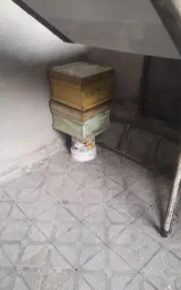 فروش کندوی عسل
