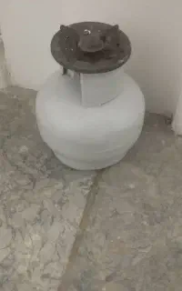 پیکنیک