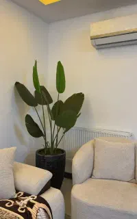 سیم کارت همراه اول