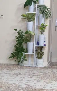 استند گل