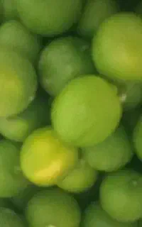 لیمو آبدار