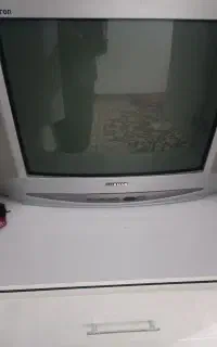 تلویزیون