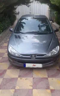 ۲۰۶ اس دی
