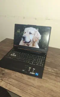 Asus tuf gaming f15 fx506HCB