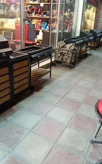باربیکیو و کباب پز گازی و ذغالی