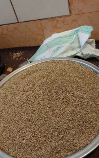 عدس پاک وتمیز
