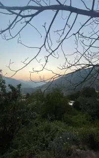 زمین سیاه رودبار