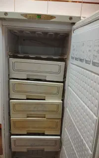 فریزر آزمایش