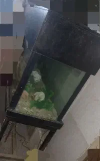 اکواریوم بزرگ با لوازم