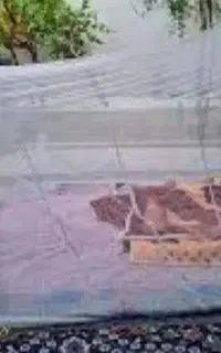 پشه بند سنتی ۵۸ تا موجود